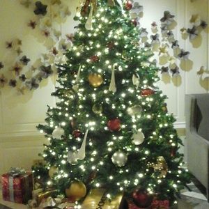 Meet your Posher, Sharella